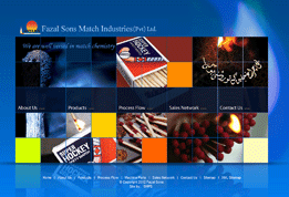 Hockey Match Website / Photography